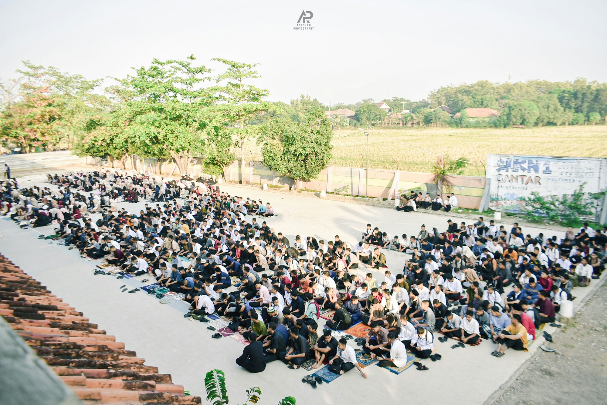 Large student gathering outside