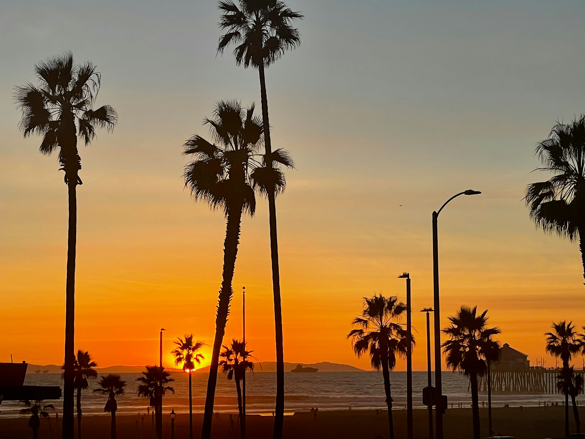 Palm trees against a Southern California sunset